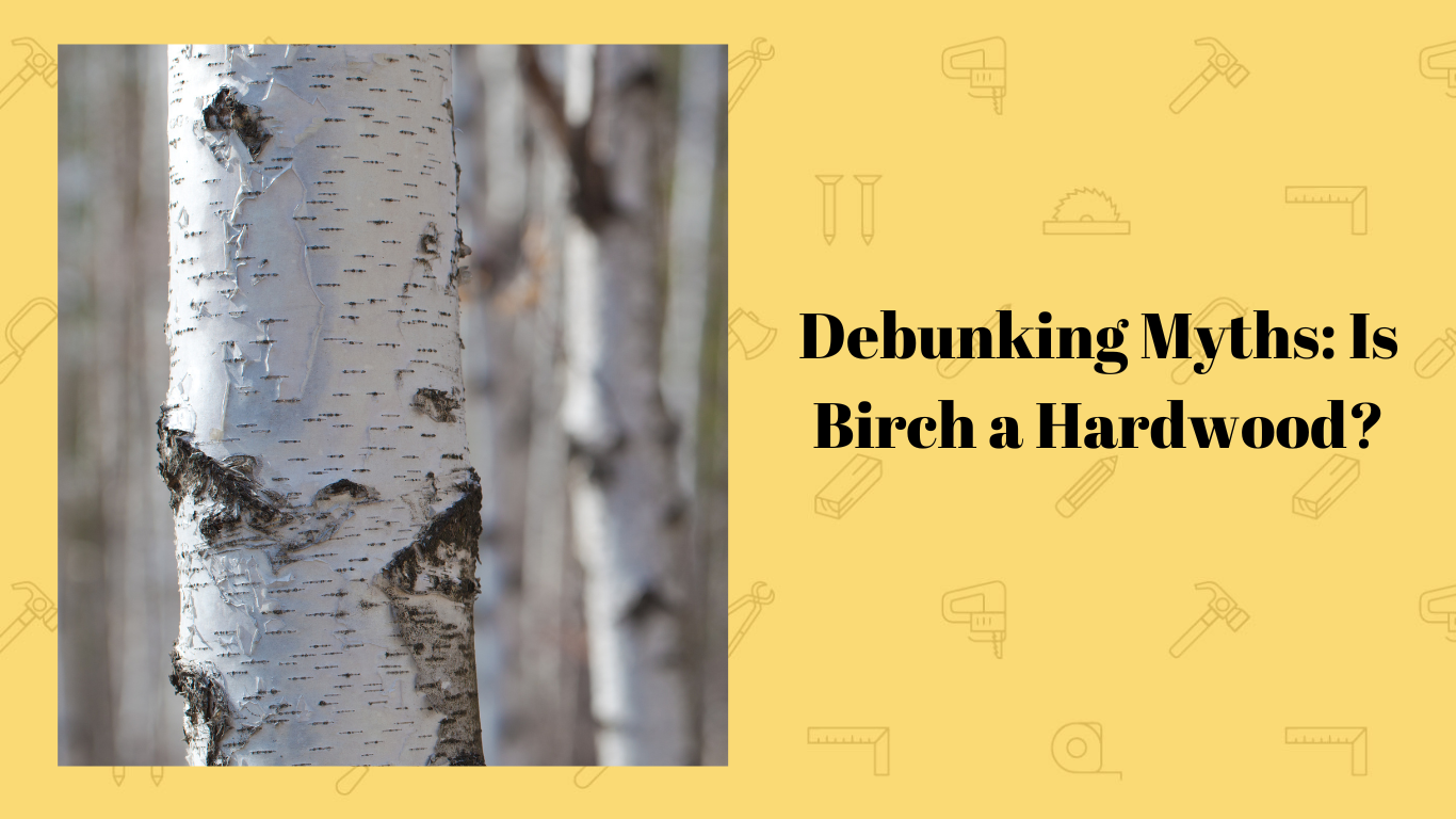 Debunking Myths Is Birch a Hardwood? Simplewoodworker