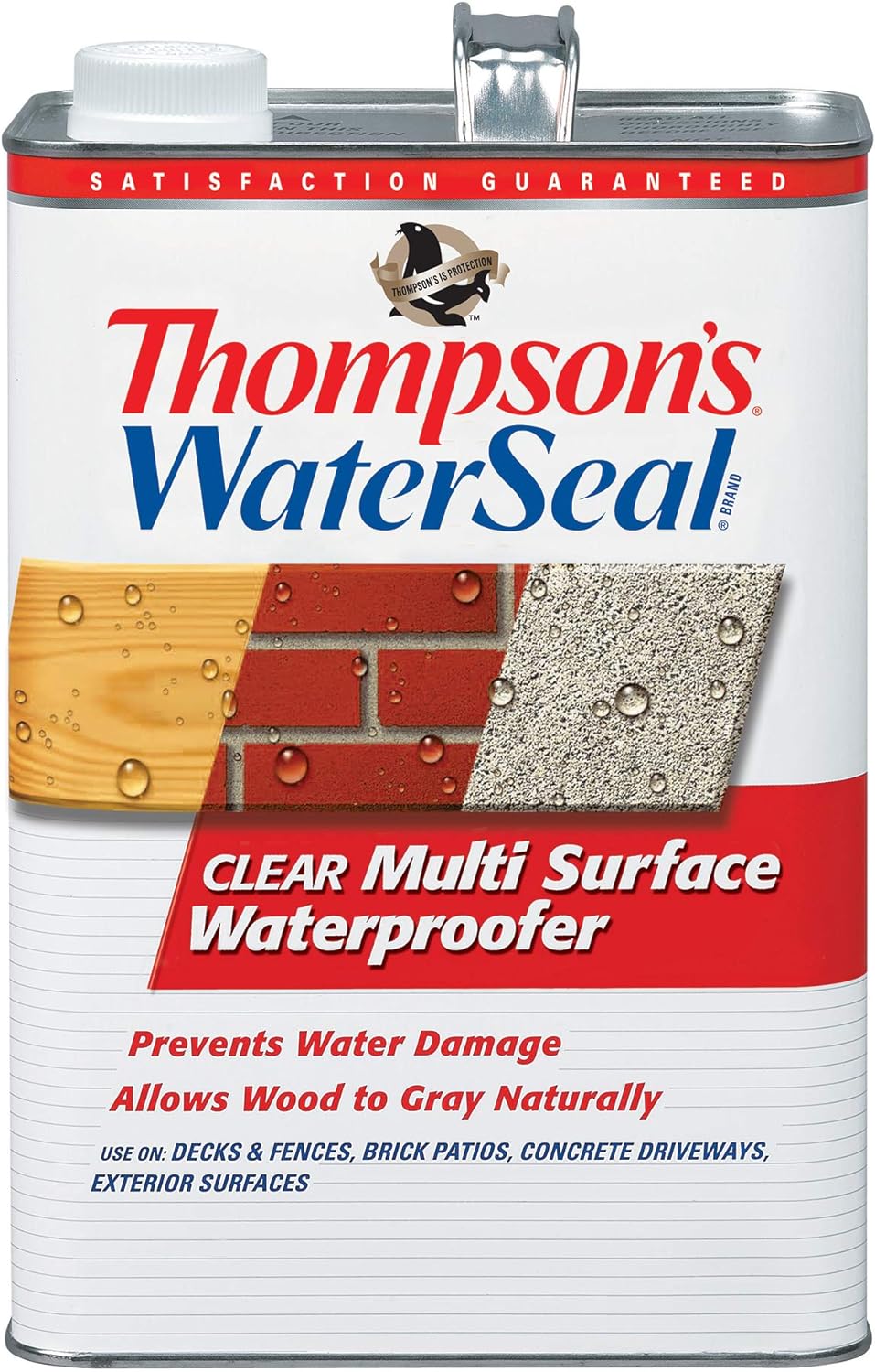 Thompsons WaterSeal Stain